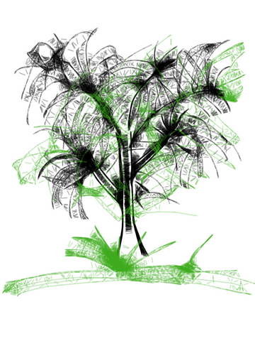 Wistful Tree Blooming