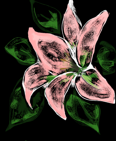 Flower on Black