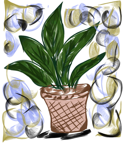 Potted Plant