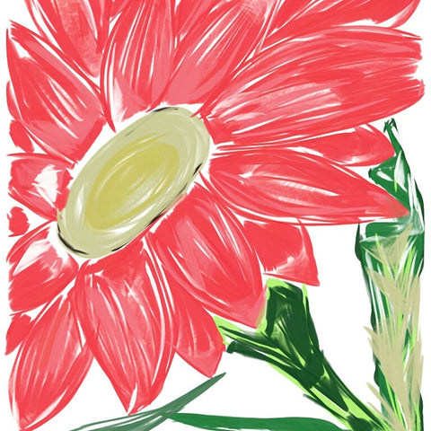Amazing Blooming
