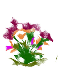 Brightly Bloomed