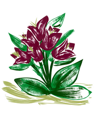Green and Red in Bloom
