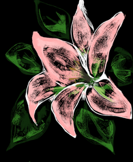 Flower on Black